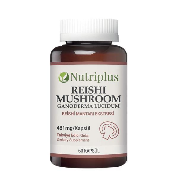 Nutriplus | Reishi 60 kapsułek